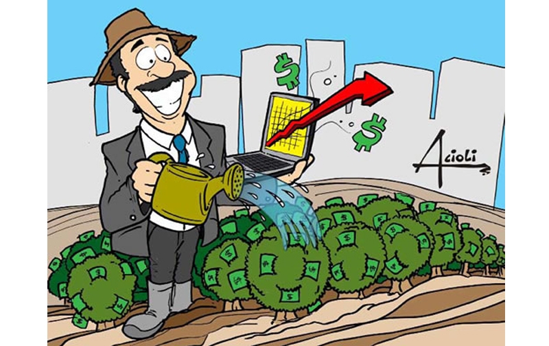 Ed.16 - Matéria: Hora de investir na bolsa - Ilustração Acioli